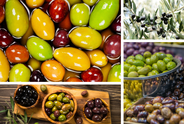 Verschiedene Olivensorten und Oliven Größen