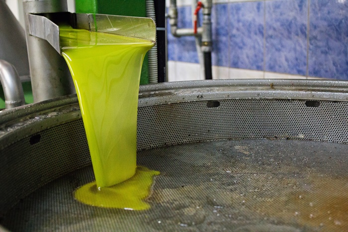 Olivenöl Ölmühle Ölgewinnung Filterung