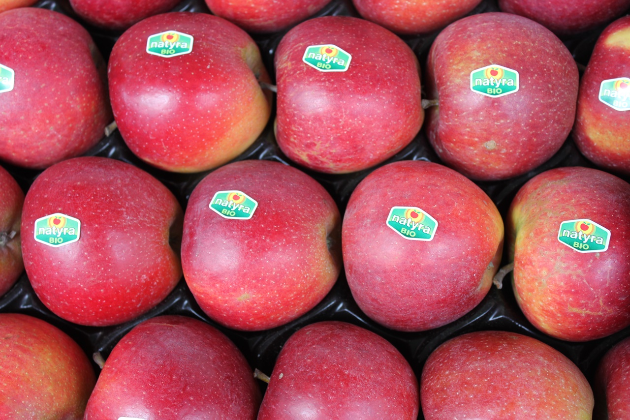 Bio Apfel Natyra im Großhandel kaufen