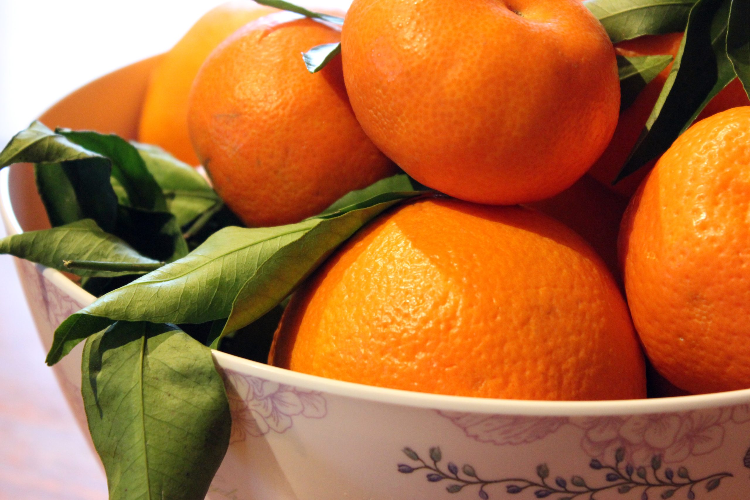 Orangen frisch vom Baum mit Blattgrün online bestellen