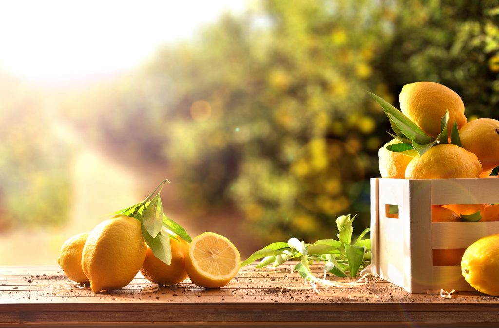 Baumpatenschaft für Orangen / Zitronen direkt aus Spanien vom Erzeuger